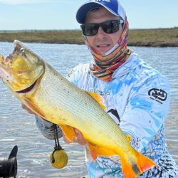 La expectativa es que, con la estabilidad del nivel, el dorado siga en ascenso y ofrezca jornadas memorables. Hoy toma señuelos, carnada, fly o bait con la misma efectividad.