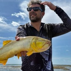 La expectativa es que, con la estabilidad del nivel, el dorado siga en ascenso y ofrezca jornadas memorables. Hoy toma señuelos, carnada, fly o bait con la misma efectividad.