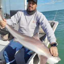 Con una actividad muy interesante en líneas generales, la novedad por estos tiempos es la aparición de los cazones, una especie que se pesca obligatoriamente con devolución y que vuelven más entretenidas las salidas.