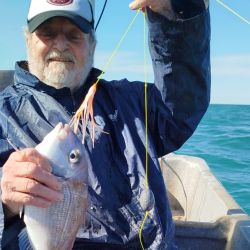 Con una actividad muy interesante en líneas generales, la novedad por estos tiempos es la aparición de los cazones, una especie que se pesca obligatoriamente con devolución y que vuelven más entretenidas las salidas.