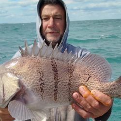 Con una actividad muy interesante en líneas generales, la novedad por estos tiempos es la aparición de los cazones, una especie que se pesca obligatoriamente con devolución y que vuelven más entretenidas las salidas.