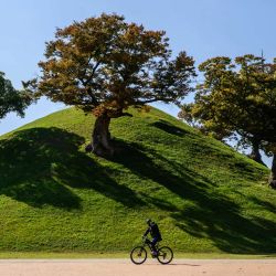 Un ciclista pasa junto a un túmulo funerario en Gyeongju, Corea del Sur. | Foto:Anthony Wallace / AFP