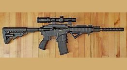 El fusil Colt AR-15 20251104