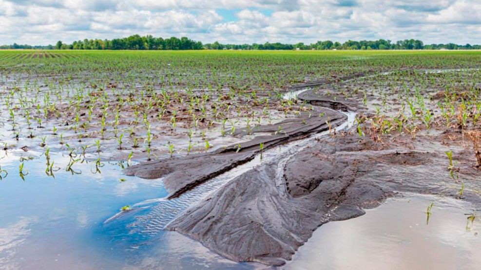 Campo agrícola inundado 05112025