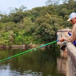 Desde el 1 de noviembre está en marcha la temporada de pesca 2025/2026 en la provincia. La habilitación es para ríos hasta el 30 de abril de 2026, y para diques hasta el 31 de agosto de 2026.