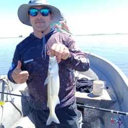 0711_mapa_pique_pesca