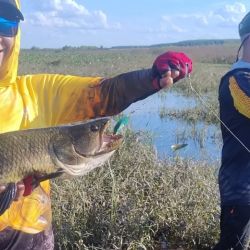 0711_mapa_pique_pesca