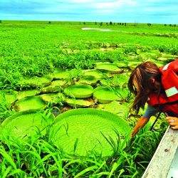 En la reserva privada La Aurora tienen toda la infraestructura para compenetrarse con el paisaje del Palmar abordado desde la aventura.