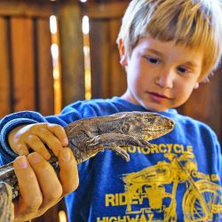 En la reserva privada La Aurora tienen toda la infraestructura para compenetrarse con el paisaje del Palmar abordado desde la aventura.