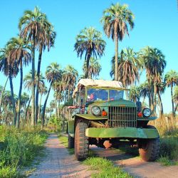 En la reserva privada La Aurora tienen toda la infraestructura para compenetrarse con el paisaje del Palmar abordado desde la aventura.