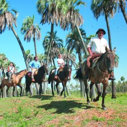 En la reserva privada La Aurora tienen toda la infraestructura para compenetrarse con el paisaje del Palmar abordado desde la aventura.