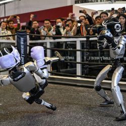 Robots controlados a distancia por Unitree Robotics participan en un combate de boxeo en el stand de Unitree Robotics durante la 8ª Exposición Internacional de Importaciones (CIIE) en Shanghái. | Foto:Hector Retamal / AFP
