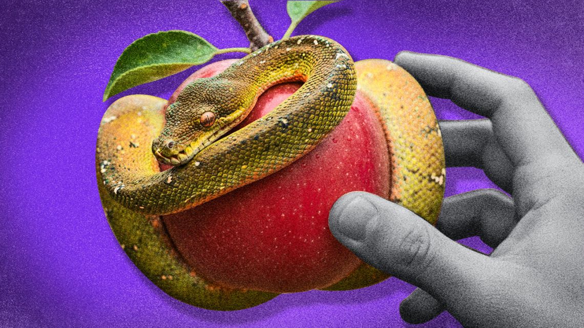 Apples falling far from the tree