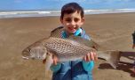 Corvinas, variada y la chance de un premio millonario en las playas del sur bonaerense