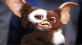 Gizmo