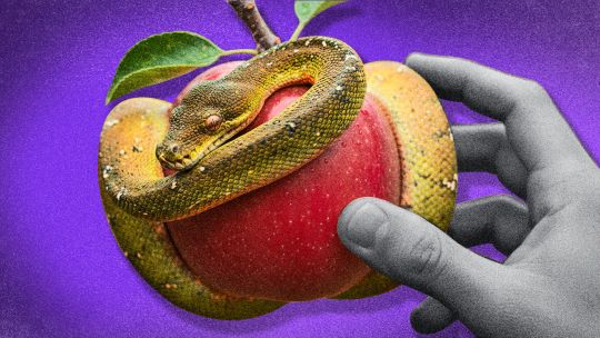 Apples falling far from the tree