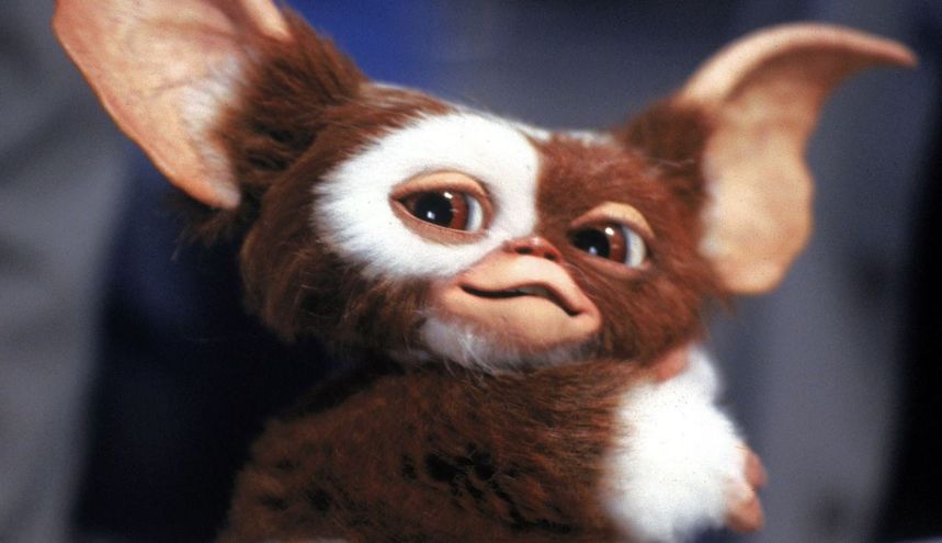 Gizmo