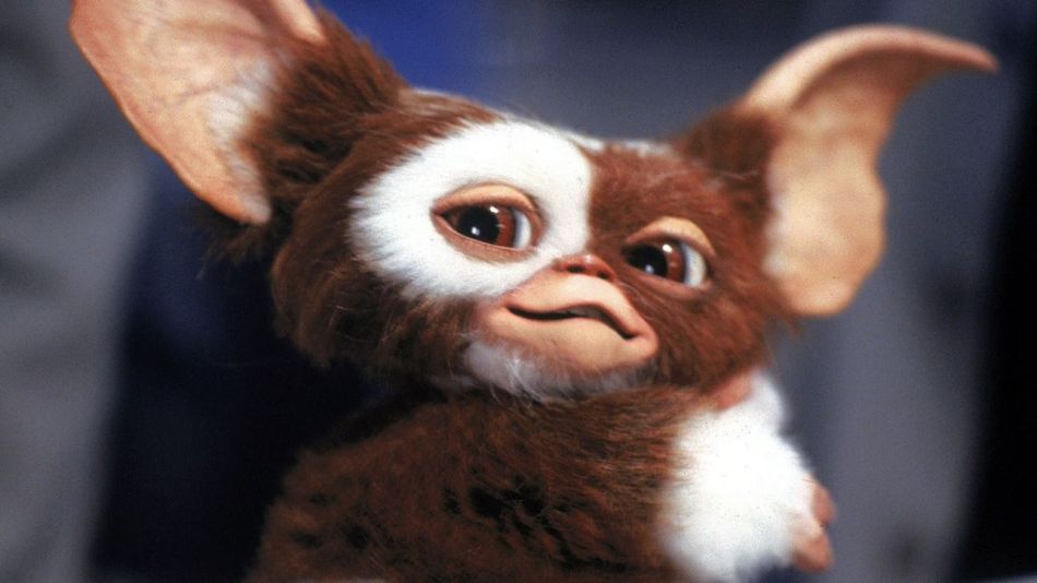 Gizmo