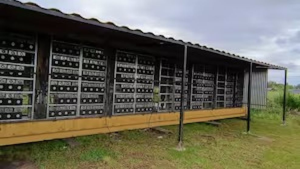 Parecía una un criadero de pollos pero era de criptomonedas.