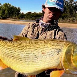 No hay una pesca de cantidad, pero sí de mucha calidad, destacan los guías, que vienen logrando varios dorados de dos cifras. 