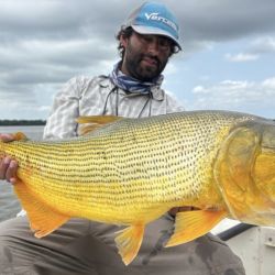 No hay una pesca de cantidad, pero sí de mucha calidad, destacan los guías, que vienen logrando varios dorados de dos cifras. 