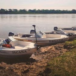 No hay una pesca de cantidad, pero sí de mucha calidad, destacan los guías, que vienen logrando varios dorados de dos cifras. 
