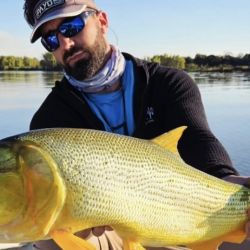 No hay una pesca de cantidad, pero sí de mucha calidad, destacan los guías, que vienen logrando varios dorados de dos cifras. 