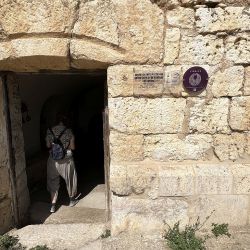 La ruta del vino en Castilla y León viene acompañada por tradiciones ancestrales y castillos con mucha historia.