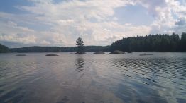 Finlandia meridional, Kivijärvi Stonelake en los alrededores de Jarvenpaa, donde vivió el violinista Jean Sibelius