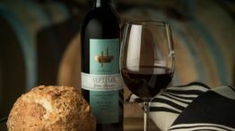 Un Cabernet Franc argentino se quedó con el premio al Mejor Vino del Año