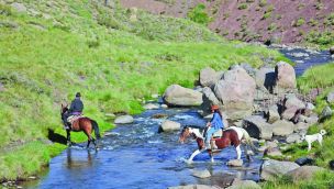 0711_CABALGATAS