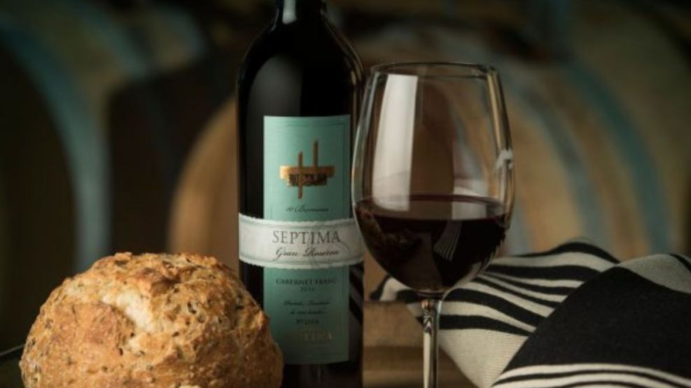 Un Cabernet Franc argentino se quedó con el premio al Mejor Vino del Año