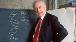 Murió James Watson, Nobel y polémico científico, uno de los descubridores del ADN