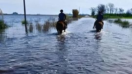 Luis Caputo declaró la emergencia agropecuaria en zonas de Río Negro, Entre Ríos y Buenos Aires
