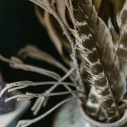 Horóscopo de la semana.