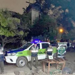 Parte de las aves y jaulas incautadas.