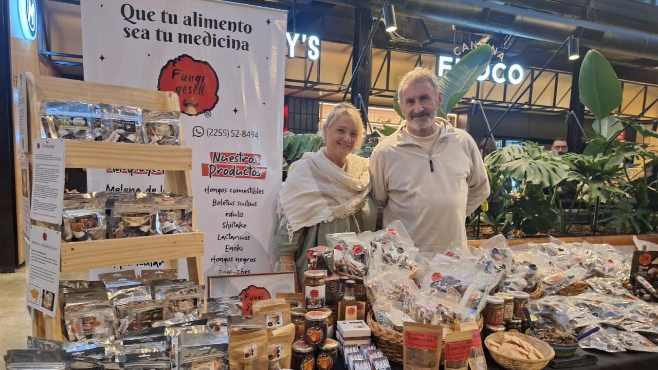 Fungi Gesell: especialistas en hongos gourmet y adaptógenos | Foto:CONTENT NOTICIAS