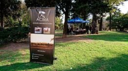 ACMA Asociación contra el maltrato animal 10112025