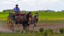 Día de la Tradición 2025: significado y origen del 10 de noviembre