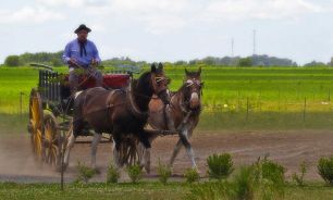 Día de la Tradición 2025 10112025