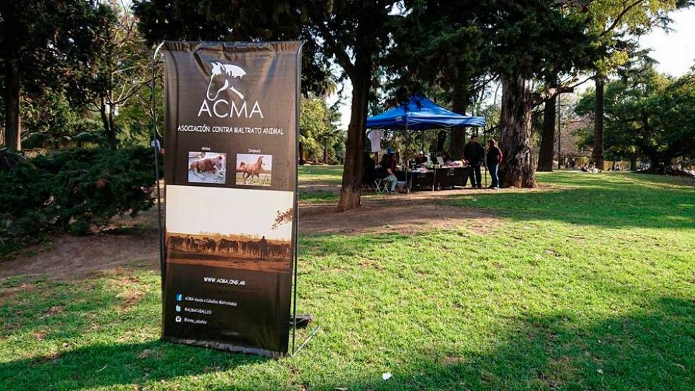ACMA Asociación contra el maltrato animal 10112025