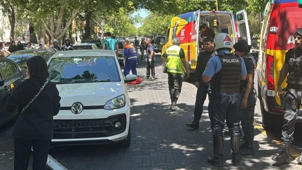 Conductora de 82 años pasó un semáforo en rojo, atropelló y mató.