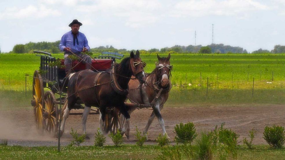 Día de la Tradición 2025 10112025