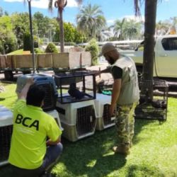 Fueron trasladadas a distintos centros de rehabilitación