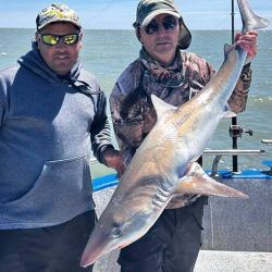 La denominada temporada de pesca en San Blas, entendida como el período de mayor firmeza en cantidad, variedad y calidad de capturas, comienza en octubre. 