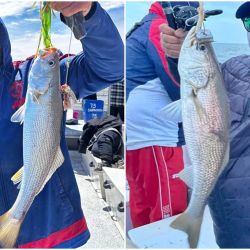 La denominada temporada de pesca en San Blas, entendida como el período de mayor firmeza en cantidad, variedad y calidad de capturas, comienza en octubre. 
