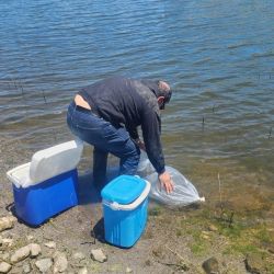 La siembra de pejerreyes forma parte de un programa más amplio que contempla acciones similares en distintos espejos de agua de la provincia, con el fin de diversificar los recursos naturales y propiciar la práctica de la pesca deportiva responsable. 