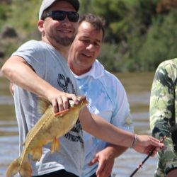 Durante las ocho horas de pesca, la cancha entregó resultados dispares según la zona: algunos equipos obtuvieron solo un par de ejemplares, mientras que otros superaron las veinte piezas. 