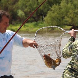 Durante las ocho horas de pesca, la cancha entregó resultados dispares según la zona: algunos equipos obtuvieron solo un par de ejemplares, mientras que otros superaron las veinte piezas. 