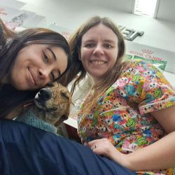 ¿A qué llamamos bienestar animal? | Foto:CONTENT NOTICIAS